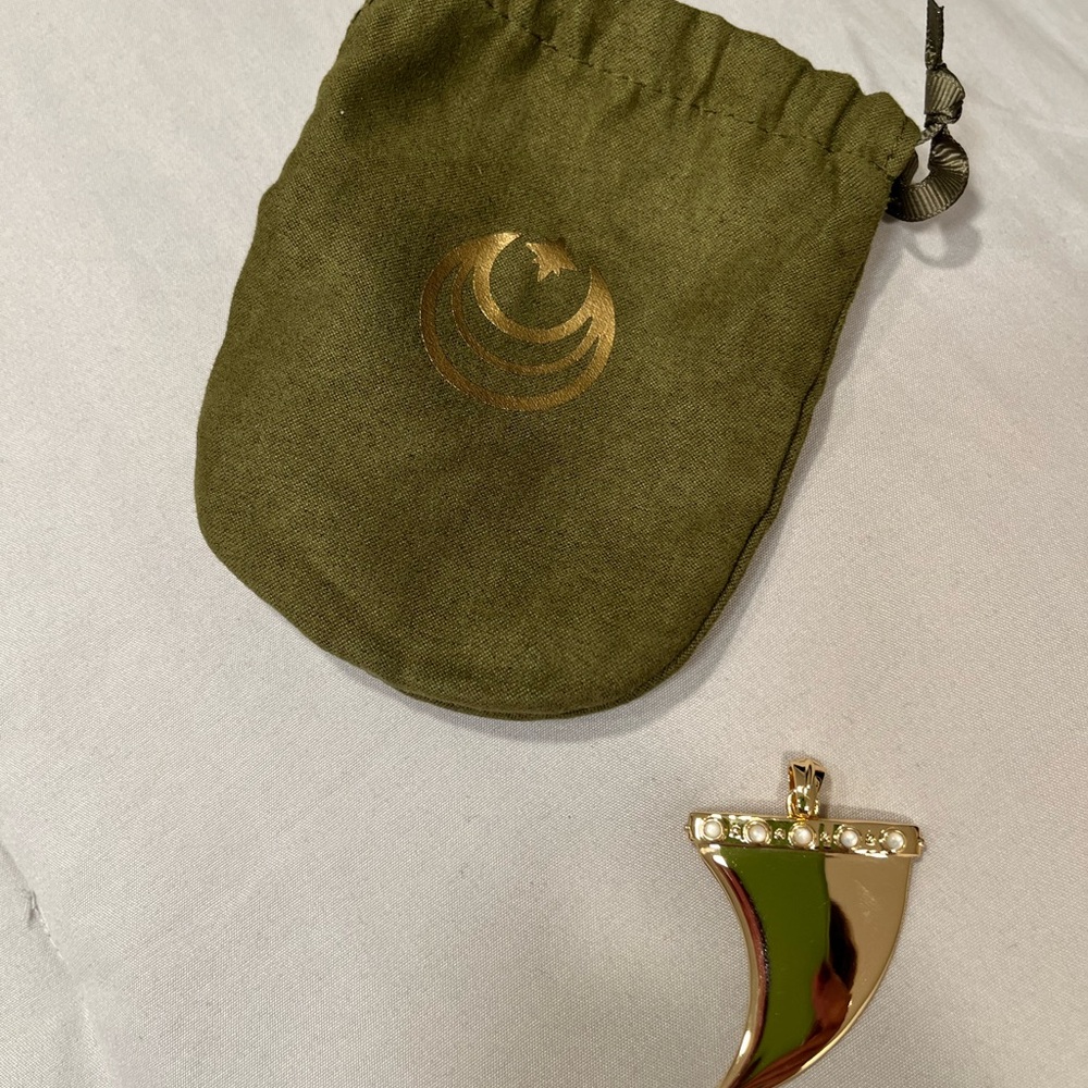 Elegant Gold and Black Horn Pendant Necklace - Picture 3 of 5